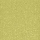 Фокус 28, оливковый